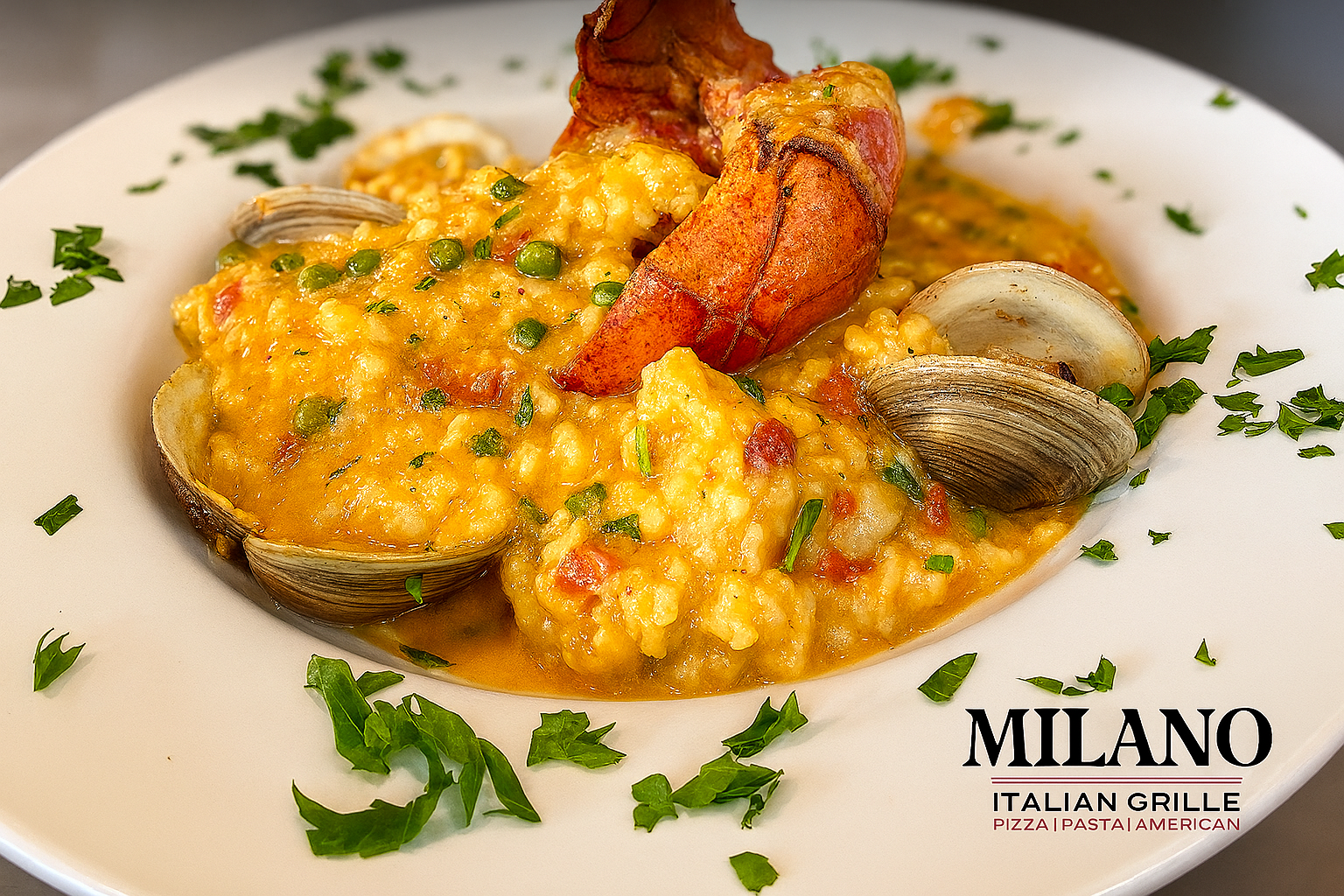 Milano Dish 2